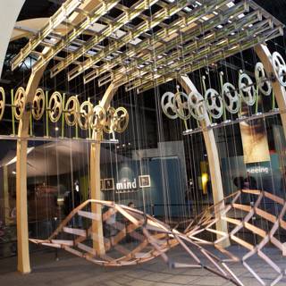 Rings of Plywood: A Wooden Wonder