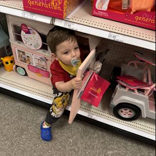Wesley's Toy Store Adventure in California