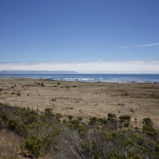 Embracing the Coastal Wilderness