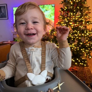 Joyful Toddler's Christmas Dinner Celebration at Home