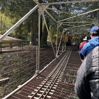 Journey Through the Tilden Tracks