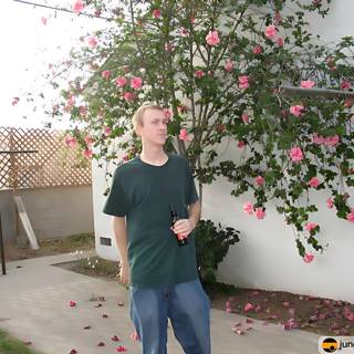 The Man and the Pink Tree