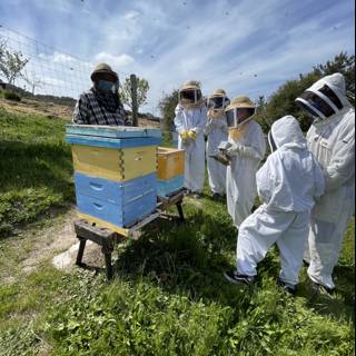 Beekeepers in Protective Suits at the Carmel Apiary