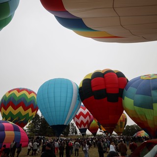 Colorful Hot Air Balloons Fill the Overcast Sky