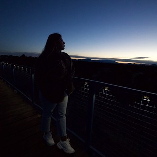 Silhouette at Twilight: Contemplative Moment at Overlook