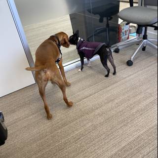 Playtime at the Office