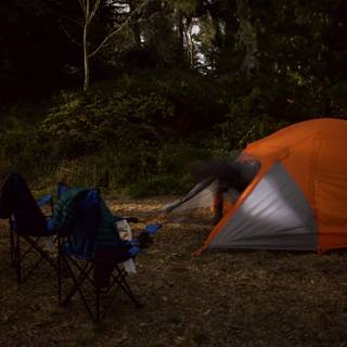 Embracing Wilderness: Camping in Presidio, 2023