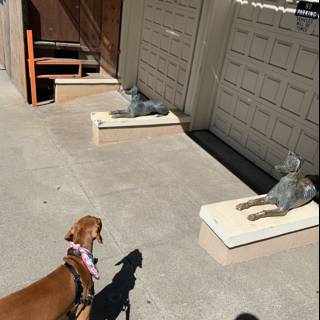 Puzzled Pup Observing Sculpture Double