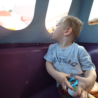 Young Boy Gazing Upward in Playground Structure