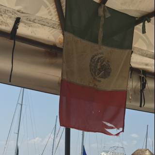 Mexican Flag Waves in the Water