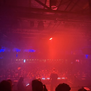 Red Light Immersion at Electronic Music Concert