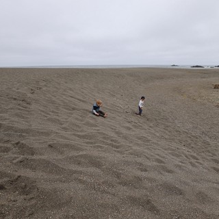Two Children Playing on a Vast Gray Beach
