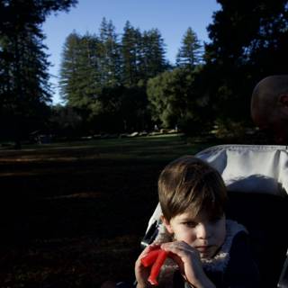 Afternoon Stroll in Filoli Woods