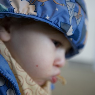 Child in Blue Dinosaur Print Hood