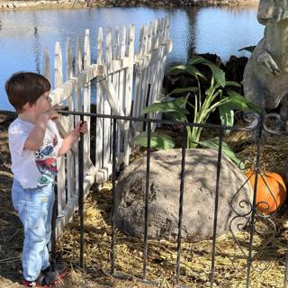 Imaginations Unleashed by the Waterside