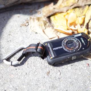 Abandoned Camera