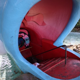 Inside the Mouth of a Giant Blue Whale Slide