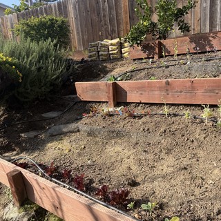 Terraced Garden Construction with Wooden Retaining Walls