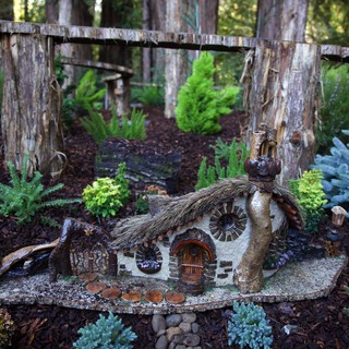 Northern California redwood region
