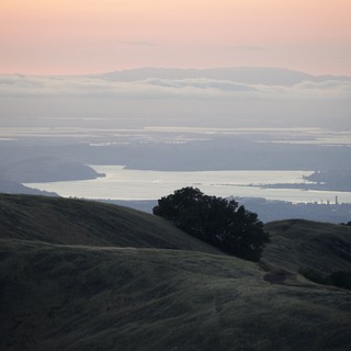 Golden Hour Mist Over San Francisco Bay from Diablo