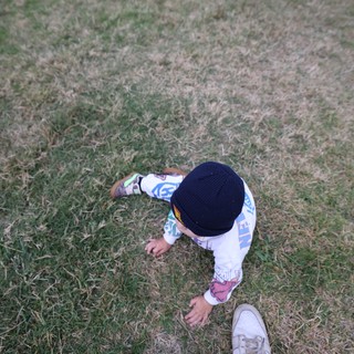 Toddler Explores Festival Grounds at Balloon Classic