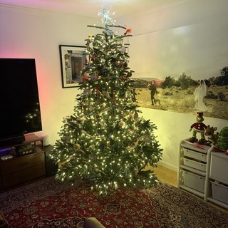 Illuminated Christmas Tree in Modern Living Room