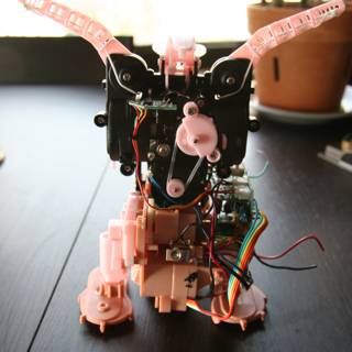 Pretty in Pink Robot