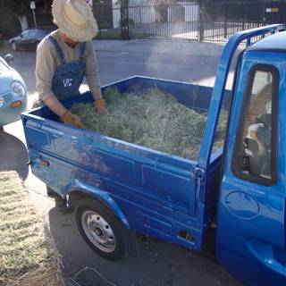 Loading Hay into the Blue Pickup Truck