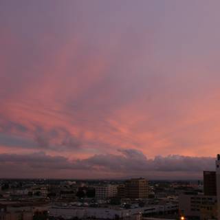 Pink Skies over the Urban Jungle