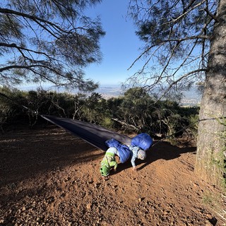 Child Tumbling Out of Hammock on Mountain Summit
