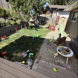 Backyard Adventure
