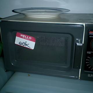 Microwave for Your Holiday Leftovers