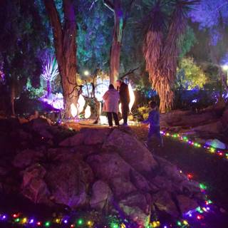 Enchanted Nocturnal Stroll