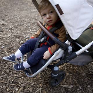 Stroll Through Thistlewyck
