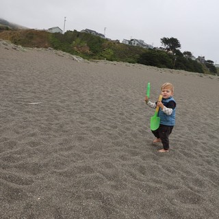 Toddler Explores Foggy Beach with Green Shovel