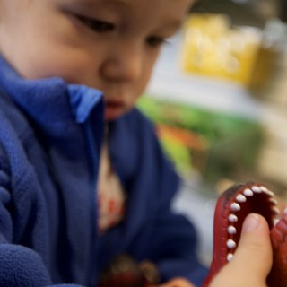 Child Learning Dental Health with Tooth Model