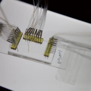 Inside the Micro Bio Chip