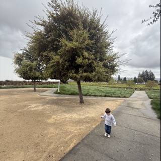 Exploring Under the Cloudy Skies
