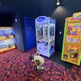 Children Playing Arcade Claw Machines at Entertainment Venue