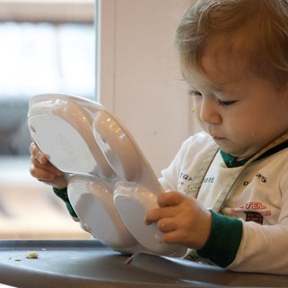Toddler Exploring Mealtime Independence with Divided Plate