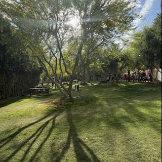 Tranquil Afternoon at Empire Polo Club
