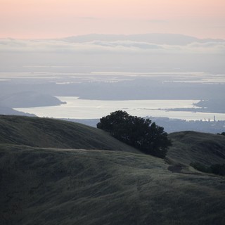 Golden Hour Rolls Over San Francisco Bay From Diablo