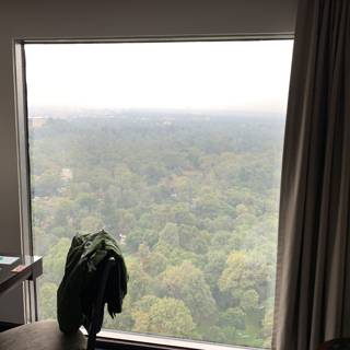 Serene Forest View from Hotel Room