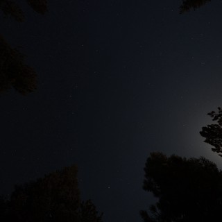 Moonlit Night Sky Over Lassen Volcanic Forest