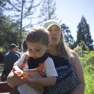 A Sunny Day at Walnut Creek