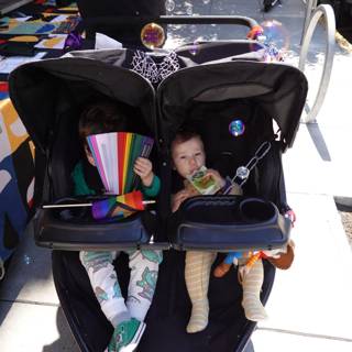 Stroller Chronicles: A Day Out