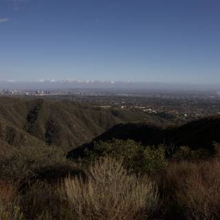 Cityscape from the Temescal Canyon Hilltop