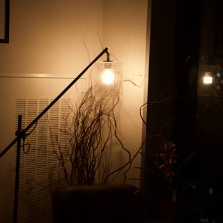 Lamp Illuminating the Mostly Dark Room