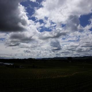 Clouds Over Scribe Vineyard