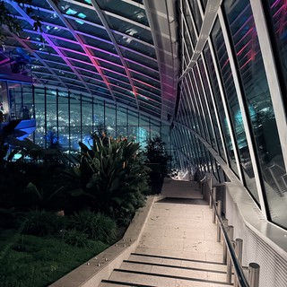 Modern Sky Garden Terrace with Dramatic Purple Lighting